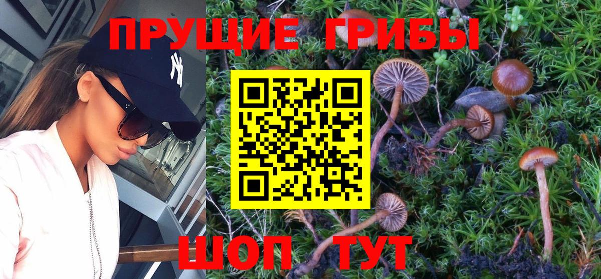 Псилоцибиновые грибы мухоморы  Вход с VPN  наркошоп  Ипатово 